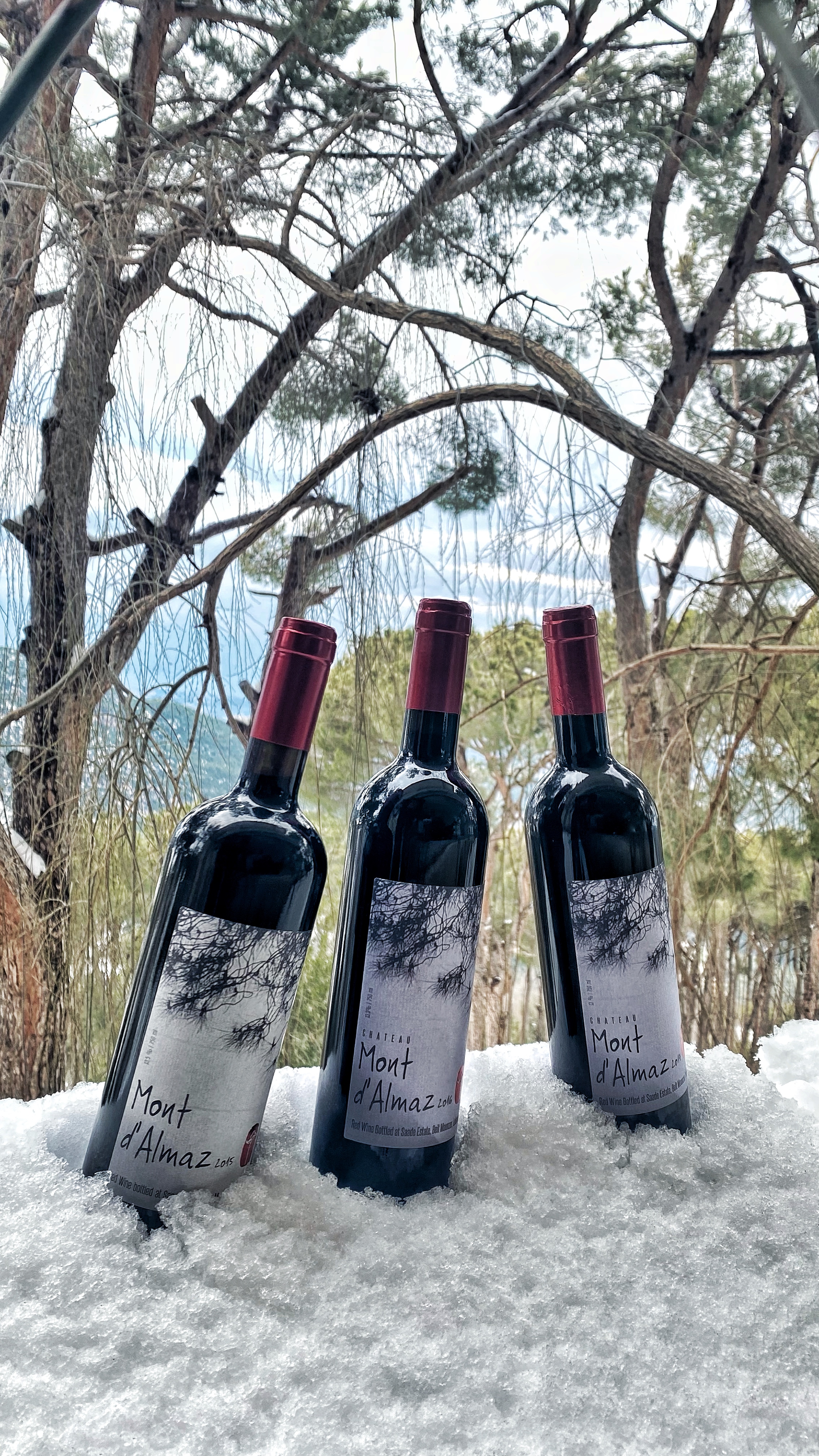 Mont d'Almaz bottles standing in the snow